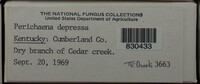 Image Associated With the Occurence
